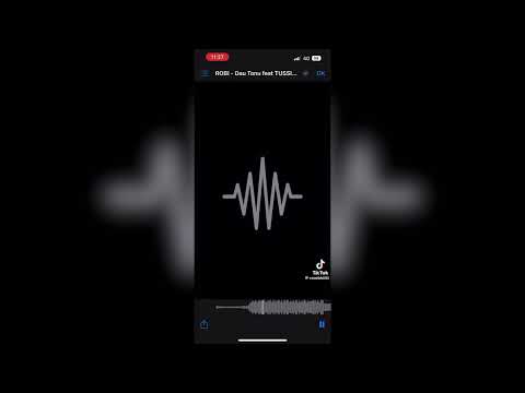 ROBI x TUSSIN x FLORIS - DAU TONU *snippet de pe album*