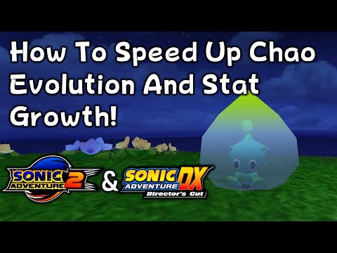 Speed Up Chao Evolution & Stat Growth! (Sonic Adventure 2 and Sonic Adventure DX)