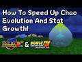Speed Up Chao Evolution Stat Growth Sonic Adventure 2 And Sonic Adventure DX
