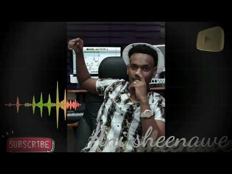 New Ethiopian Music 2023 Ani shenawe Hamza Ibr