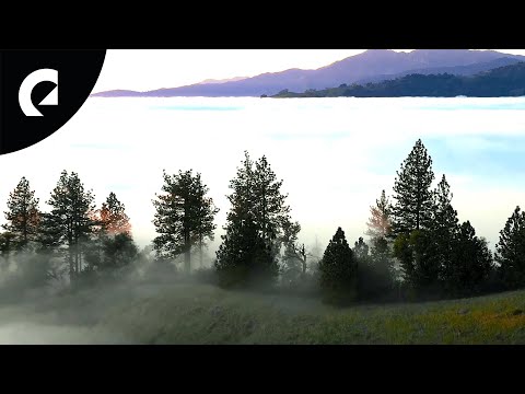 Ever So Blue - Calme (Official Cinematic Video)