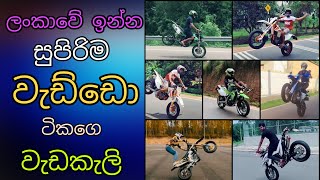 Sri Lanka Bike Stunt & Burnout  Tik Tok