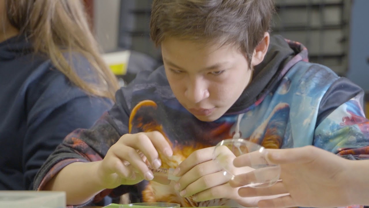 Three-Dimensional Learning