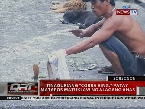 QRT: Tinaguriang "cobra king," patay matapos matuklaw ng alagang ahas