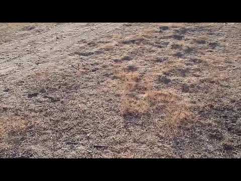 Djuma Private Game Reserve Live Stream