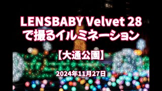 2024年11月27日 LENSBABY Velvet 28 で撮るイルミネーション【大通公園】