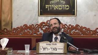 הרב אליהו פנחסי שליט"א  • כשרויות למוצרים ולא אוכל  לפסח