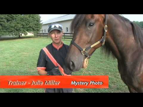 2010 Hambletonian --Mystery Photo