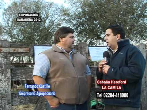 CABAÑA LA CAMILA. HEREFORD.FERNANDO CASTILLO.EXPONACION GANADERA 2012.mpg