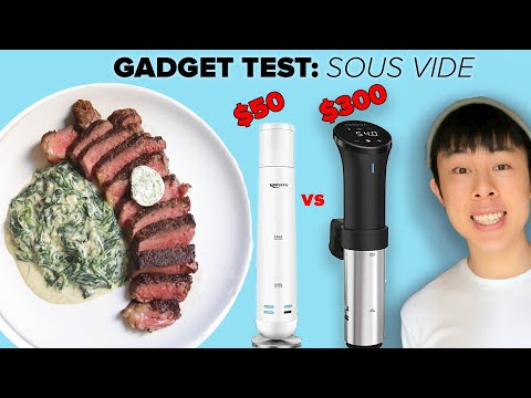 I Compared $50 and $300 Sous Vide Machines With Steak • Tasty