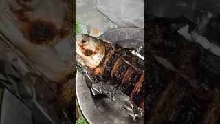 Pisces Fish - George Harrison