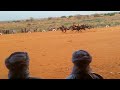 Sukuwa Doki Agarin Tahoua