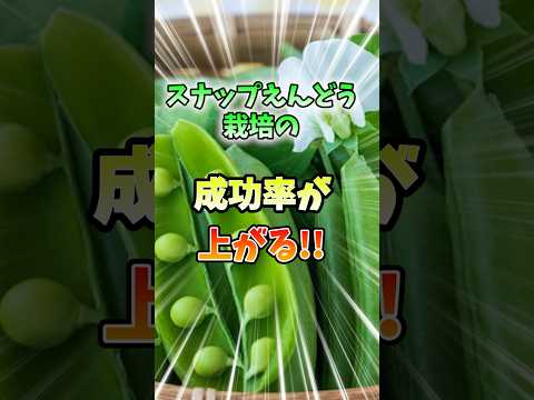  1月は庭で何をしましょうか？剪定、植え付け、種まき、農園の手入れ：私たちがすべてを教えます。  庭園