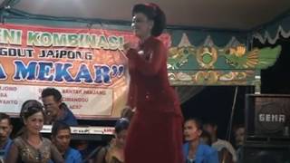 Download lagu Jalan Jalan || Lingkung Seni Jaipong Dangdut BUDAYA MEKAR mp3 Download lagu Jalan Jalan || Lingkung Seni Jaipong Dangdut BUDAYA MEKAR mp3