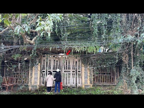 Ein Paar zahlte 3 Mio. € für ein 12 Jahre verlassenes Haus — und die Überraschung danach