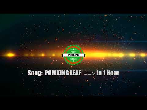 Pomking Leaf (1 Hour) - PFM [Pomking Free Music]