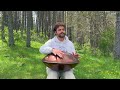 Deep in the Forest | 1 hour handpan relaxing music | Thaba