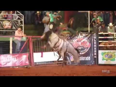 CHEIRO DE MALÍCIA !!!