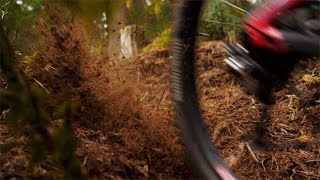 50 seconds autumn - RAW