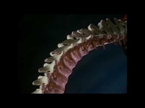 Back Injury Prevention for Farmworkers Video Preview