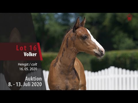 Online Auktion 9. - 13. Juli: Lot 16 Volker Hengst v. Vancouver - Vincent