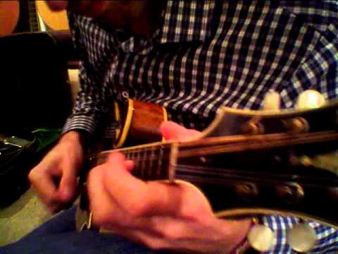 Mandolin Brothers: Chris Thile with the Lloyd Loar F5 (#75846)