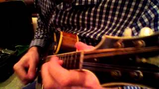 Mandolin Brothers: Chris Thile with the Lloyd Loar F5 (#75846)
