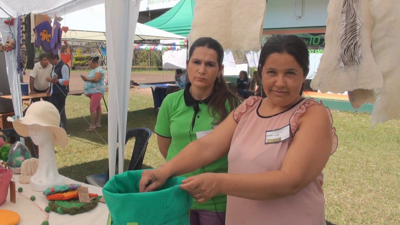 Vista previa del video sobre el
      proyecto