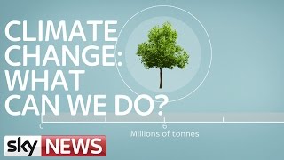 Climate Change: What Can We Do?