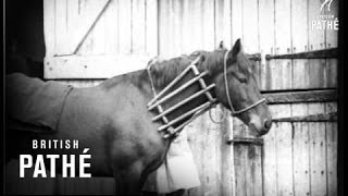 Another Career For Eve  (1932)