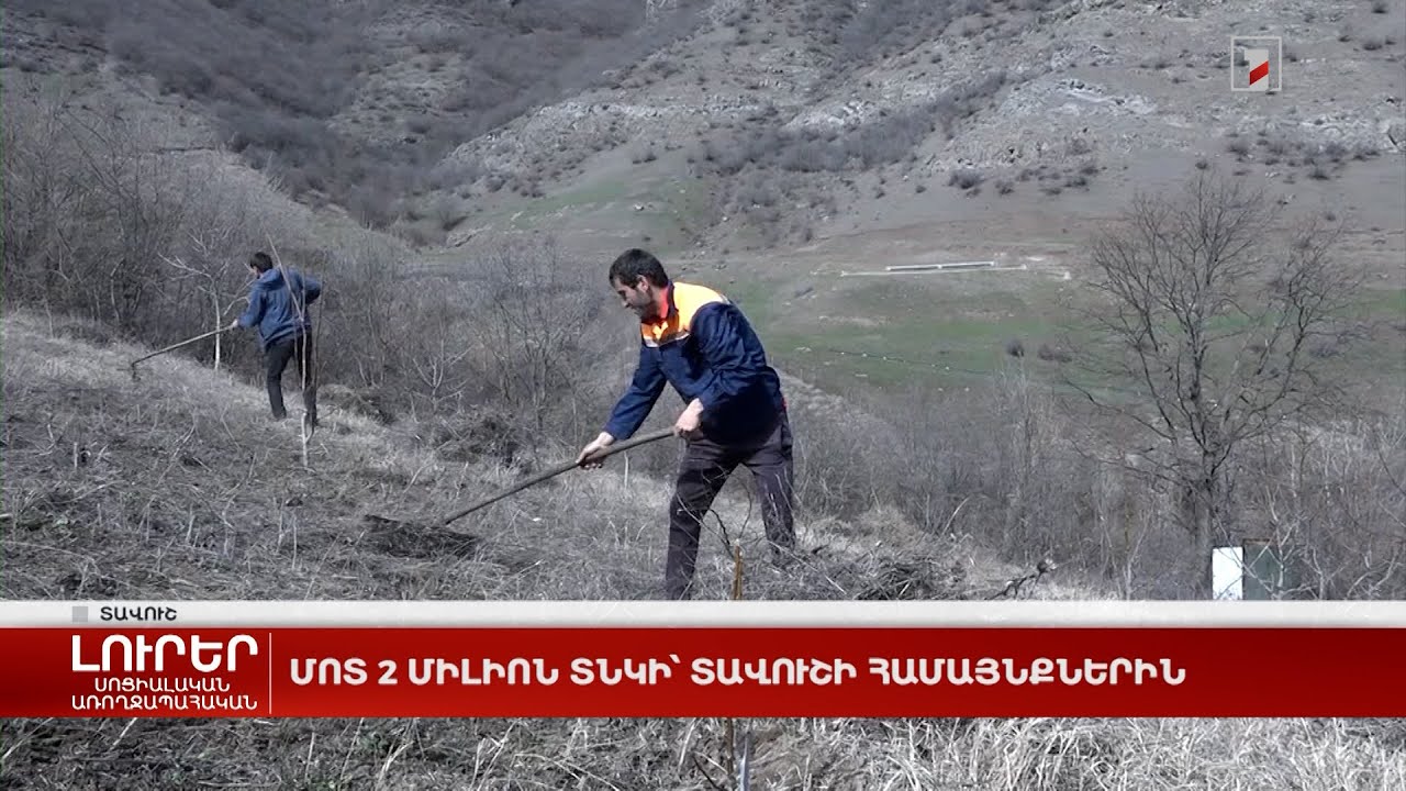 Մոտ 2 միլիոն տնկի՝ Տավուշի համայնքներին