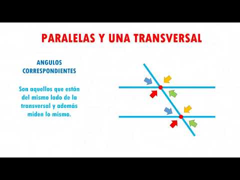 ANGULOS ENTRE PARALELAS Y UNA TRANSVERSAL Super facil   Para principiantes 1
