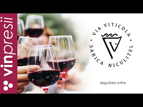 VINpresii Sezon 2 - Ep. 1 - VIa Viticola Sarica Niculitel