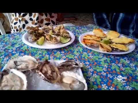 SBT Meio-Dia ao vivo na Fenaostra