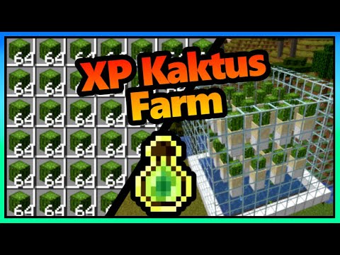 RemaKKe -  Minecraft Cactus XP Farm Super Easy |  1.20 - 1.21+