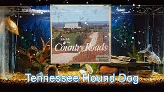 Tennessee Hound Dog Music Video