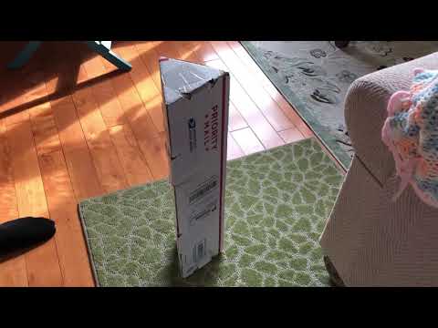 My Magnolia Stellata “Royal Star”