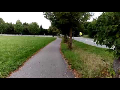 Honda Monkey Probefahrt 212ccm