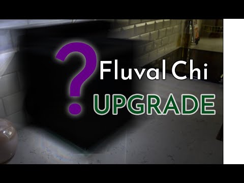 Small Aquarium Upgrade | Crystal Clear Water | Fluval Chi