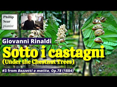 Giovanni Rinaldi: Sotto i castagni (Under the Chestnut Trees), Op.78 No.3