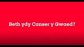Blood cancer information in Welsh | Gwybodaeth am ganser y gwaed yn Gymraeg