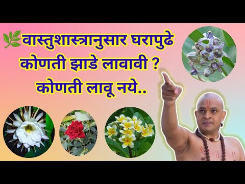 वास्तुशास्त्रानुसार घरापुढे कोणती झाडे लावावी ? कोणती लावू नये..| #vastutips #shriswamisamarth
