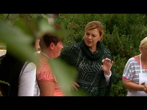 Gasztroangyal 33. rész - Tuzsér (2017)