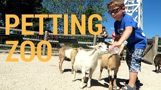 The Greatest Petting Zoo In All The Land