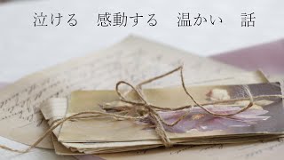 【泣ける話】【感動する話】【落ち着いた声】【睡眠導入】【朗読】　＃３