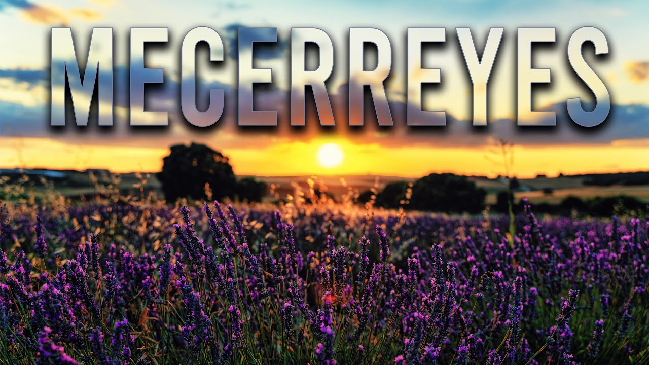 Conoce Mecerreyes