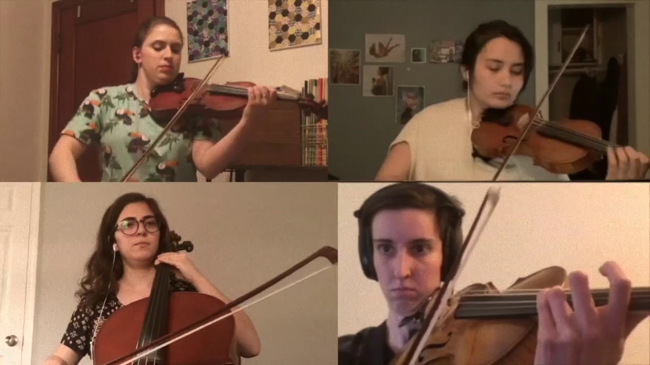 Promotional video thumbnail 1 for Boom Island String Quartet
