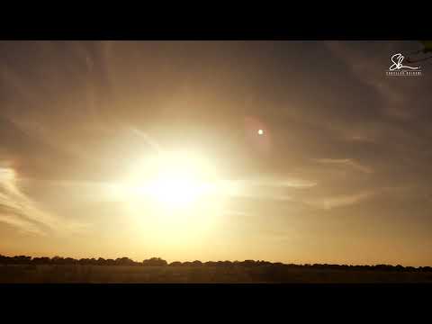 Cili lloj i shakave është i lejuar? - Hoxhë Sadullah Bajrami