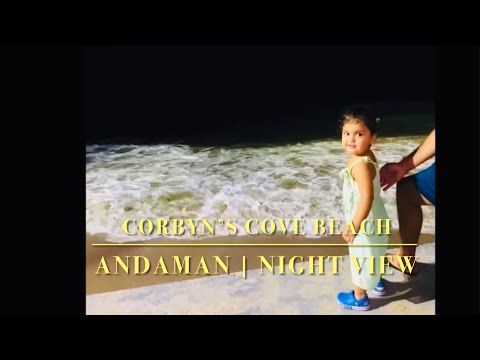 Corbyn’s Cove Beach Andaman | Night View! @kashviagamya @Kashvi