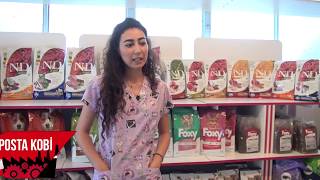 VETERİNER KLİNİĞİNDEN BEKLENEN TÜM ÖZELLİKLERİN OLDUĞU KLİNİK l MAVİ VETERİNER